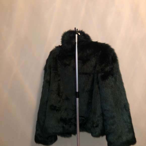 Green Fur Coat - Picture 3 of 6